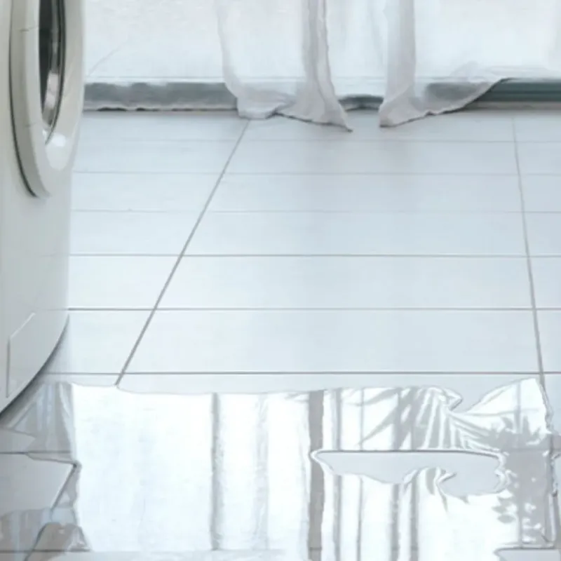 Appliance Leak Cleanup in Camp Pendleton North, CA